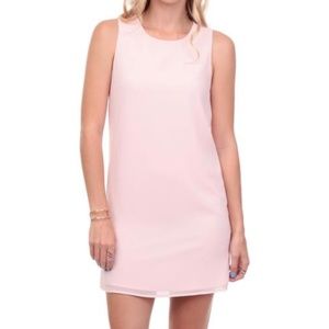 NEW PRICE!Naked Zebra Blush  back zip sheath dress